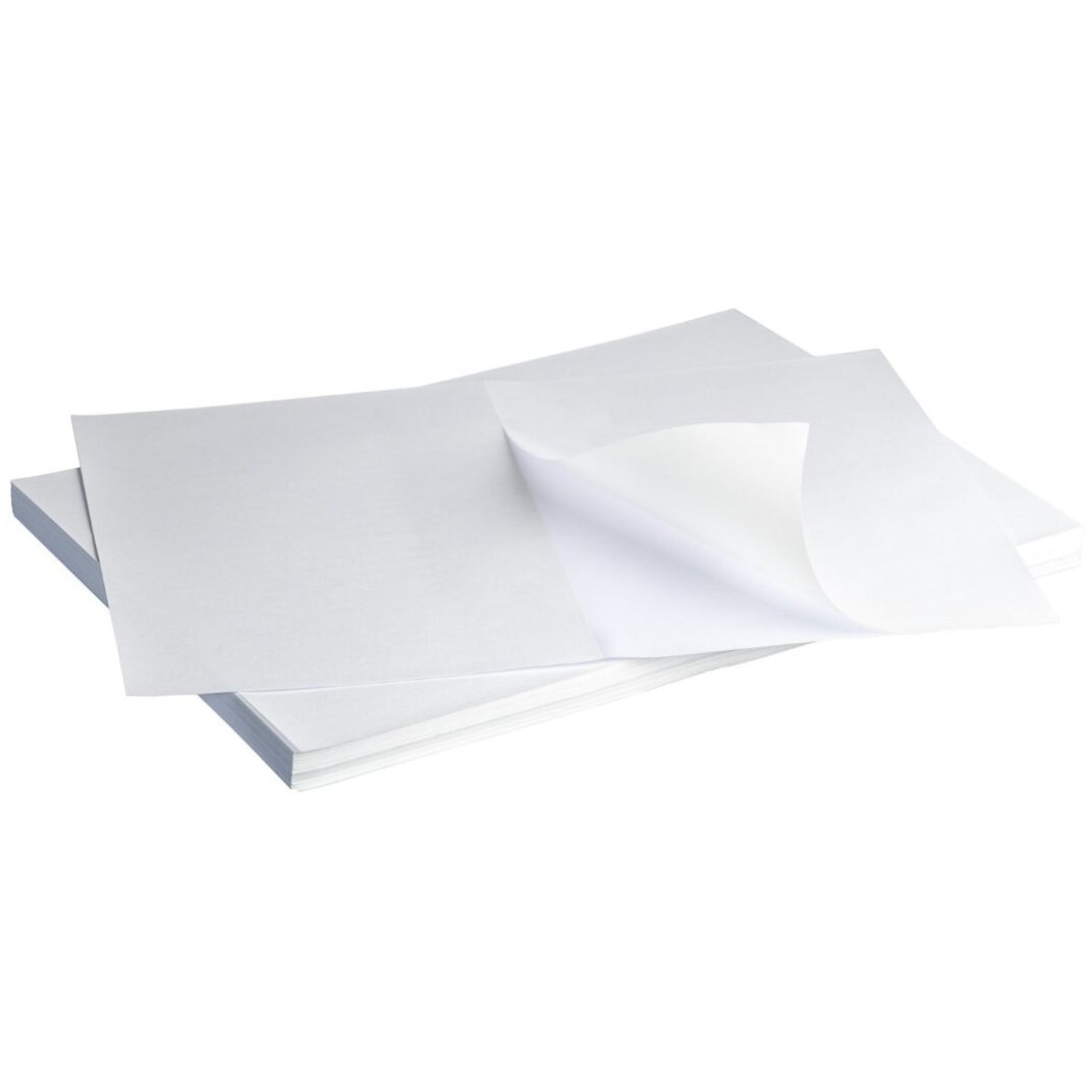 Multipurpose Laser Labels 1/1